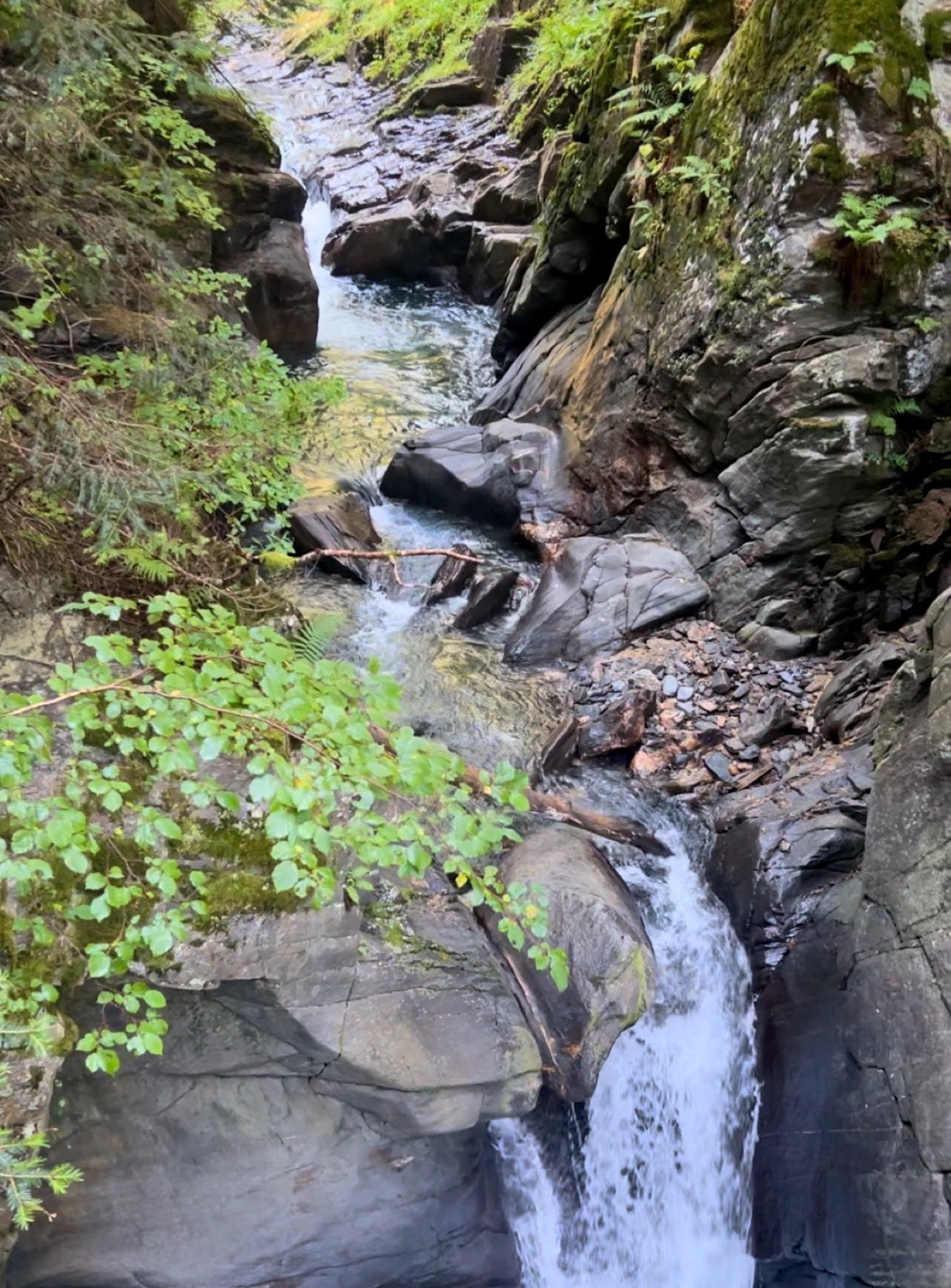 La rivière d'Arros